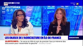 Audrey Pulvar: "Il faut transformer l'agriculture francilienne"