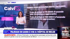 Affaire Pierre Palmade: ce que risquent juridiquement le comédien et les autres passagers du véhicule