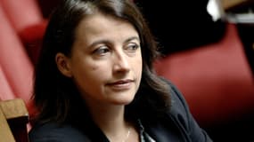 Cécile Duflot, a estimé vendredi que la gauche avait "jeté aux oubliettes nos valeurs", avec la révision constitutionnelle présentée aux députés - Vendredi 5 février 2016