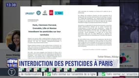 Paris interdit les pesticides sur son territoire