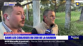 Bouches-du-Rhône: dans les coulisses du zoo de La Barben