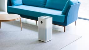 Ce purificateur d'air Xiaomi est parfait pour résister aux allergies au pollen