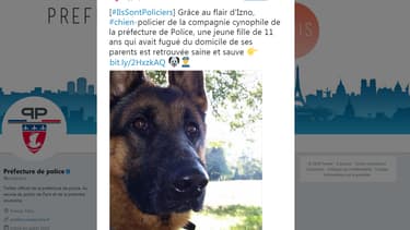 Izno, chien de la préfecture de police de Paris.