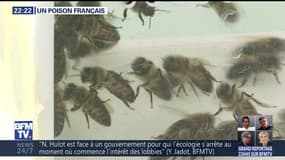 Pesticides, un poison français
