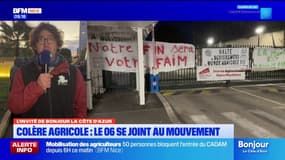 Pourquoi les agriculteurs des Alpes-Maritimes se mobilisent