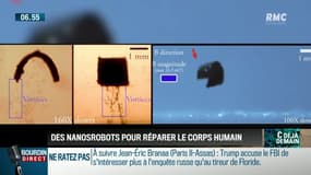 La chronique d'Anthony Morel : Des nanorobots pour réparer le corps humain - 19/02