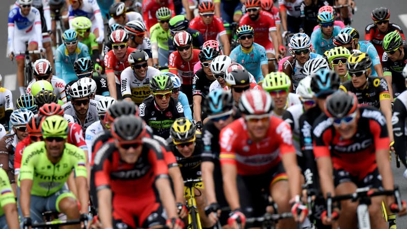Le peloton du Tour de France 2016