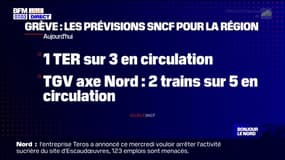 Grève: les prévisions SNCF pour la région des Hauts-de-France