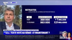 Réforme des retraites: "Si on représente aujourd'hui les Français, on doit voter contre cette réforme", affirme Gilles Platret