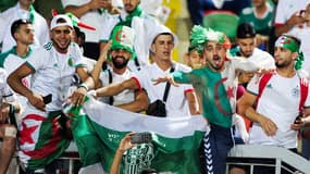 Les supporters de l'Algérie