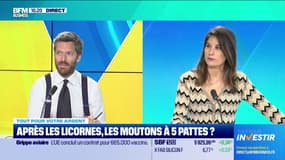 Après les licornes, les moutons à 5 pattes?