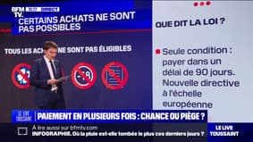 LES ÉCLAIREURS - Le paiement en plusieurs fois, une chance ou un piège?