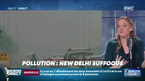 Objectif Terre : Pollution, New Delhi suffoque - 05/11