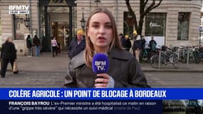 Mobilisation agricole: la Coordination rurale de la Gironde manifeste dans le centre de Bordeaux 