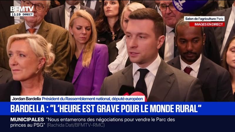 Jordan Bardella assure qu'il va continuer de "travailler main dans la main" avec Marine Le Pen "dans les prochains mois"