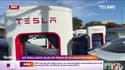 Les Tesla sont-elles en train de se démocratiser ?