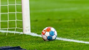 Championnat de Roumanie