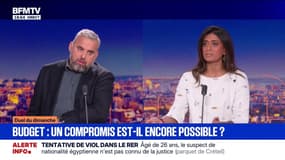 Budget à l'Assemblée nationale: "C'est le Premier ministre qui appelle à ce débat", explique Prisca Thévenot, députée (EPR)