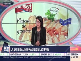 La loi EGalim fragilise les PME - 29/10