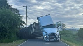 Un camion transportant 250 millions d'abeille se renverse sur une route de l'État de Washington aux États-Unis
