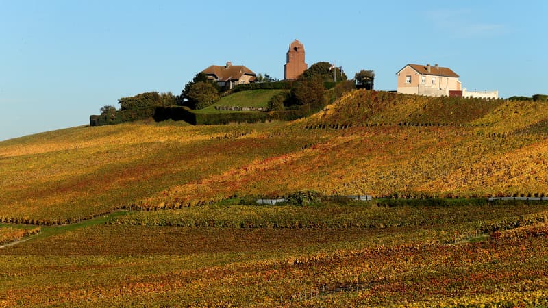 La commune de Mailly-Champagne, près de Reims, en octobre 2013 (PHOTO D'ILLUSTRATION).
