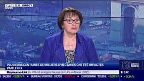 Christiane Lambert (FNSEA) : Plusieurs centaines de milliers d'hectares impactés par le gel - 13/04