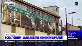 Schiltigheim: la brasserie Heineken à l'arrêt