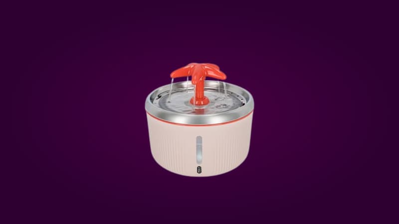 Faites plaisir à votre compagnon avec cette fontaine à eau pour chat à prix réduit