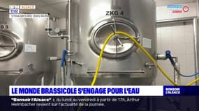 Alsace: le monde brassicole s'engage pour l'eau