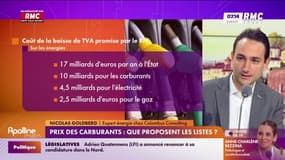 "La baisse de TVA sur les carburants est illégale" : Nicolas Goldberg juge les mesures sur les carburants des candidats aux législatives