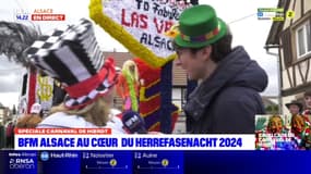 Carnaval de Hoerdt 2024: rencontre avec la présidente du jury