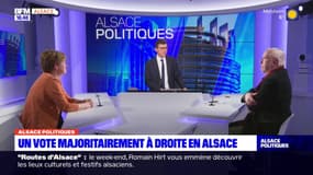 Alsace Politiques: une majorité écrasante de députés macronistes en Alsace