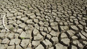 Temps trop humide aux Etats-Unis, et surtout sécheresse en Asie, les effets d'El Niño pour cette année s'annoncent spectaculaires.