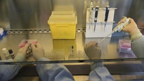 Des virologues ont annoncé mercredi qu'ils comptaient créer des formes mutantes et plus dangereuses du virus de la grippe aviaire H7N9, afin d'évaluer plus facilement les risques de pandémie que représenterait sa transmissibilité d'un humain à l'autre. /P