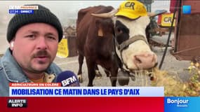 Manifestation des agriculteurs à Rousset : la vache Sariette est de sortie