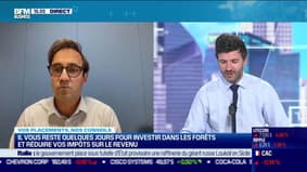 Philippe Gourdelier (Patrimea) : Il vous reste quelques jours pour investir dans les forêts et réduire vos impôts sur le revenu - 02/12