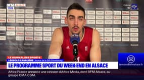 Football, basket, volley… l'actualité sportive du week-end en Alsace