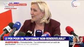 Marine Le Pen sur l'article 49-3: "Je ne renonce à utiliser aucun article de la constitution"