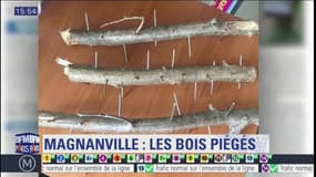 Magnanville: des pièges de bois et de clous découverts dans un bois