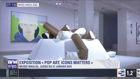 Exposition "Pop Art - Icons that matter" au musée Maillol jusqu'au 21 janvier 2018