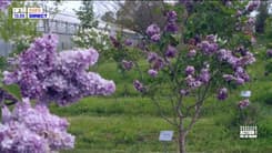 Action ! : Le Val-de-Marne, terre de fleurs