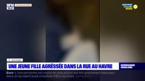 Le Havre: une jeune fille dénudée et violemment agressée, une enquête ouverte