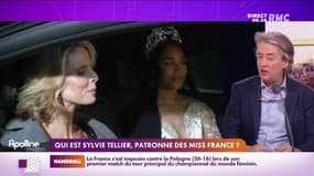 Le portrait de Poinca : Qui est Sylvie Tellier, patronne des Miss France ? - 10/12