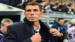 "Quand tu me touches personnellement...", Poyet revient sur l'affaire Laborde et le clash final à Bordeaux