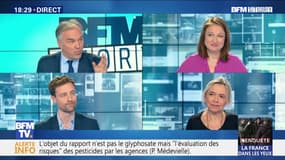 Européennes: quinze jours pour se décider