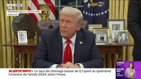 Pour Donald Trump, l'Ukraine "pourrait être russe un jour"