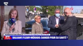 Story 5 : "Patrick Balkany comme tout délinquant doit exécuter sa peine", explique Dominique Puechmaille - 07/02