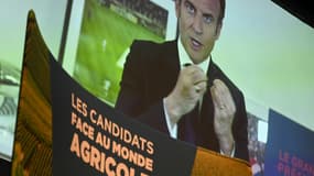 Le président Emmanuel Macron, candidat à sa réélection, en visioconférence, lors d'un congrès de la FNSEA, le 30 mars 2022 à Besançon 