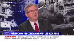 Jean-Luc Mélenchon : "Il faut une nouvelle agriculture en France" - 28/01