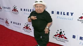 Verne Troyer